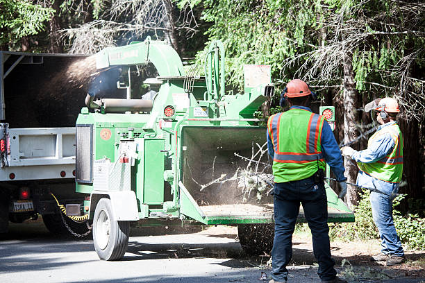 Best Aeration Services  in Lakeland, MN